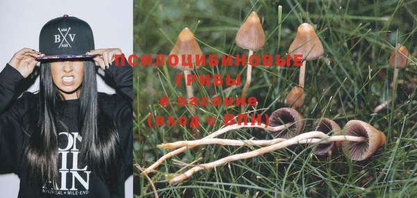 ГАЛЛЮЦИНОГЕННЫЕ ГРИБЫ Баксан