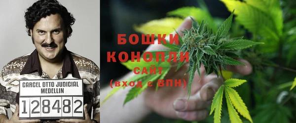 ГАЛЛЮЦИНОГЕННЫЕ ГРИБЫ Баксан