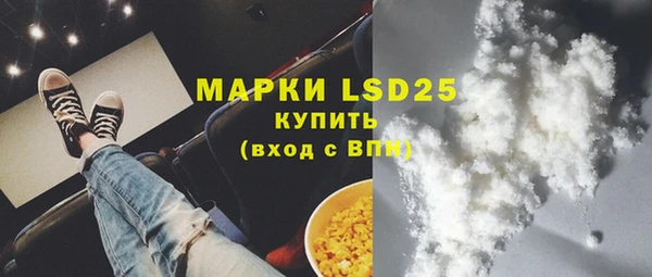 ГАЛЛЮЦИНОГЕННЫЕ ГРИБЫ Баксан
