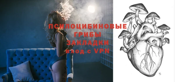 ГАЛЛЮЦИНОГЕННЫЕ ГРИБЫ Баксан