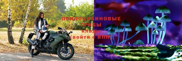 стафф Белокуриха
